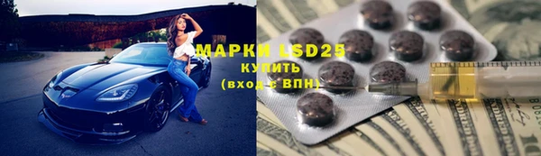 ГАЛЛЮЦИНОГЕННЫЕ ГРИБЫ Кукмор