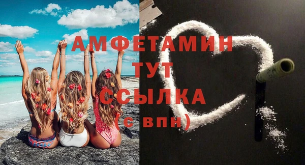 молекула духа Ладушкин