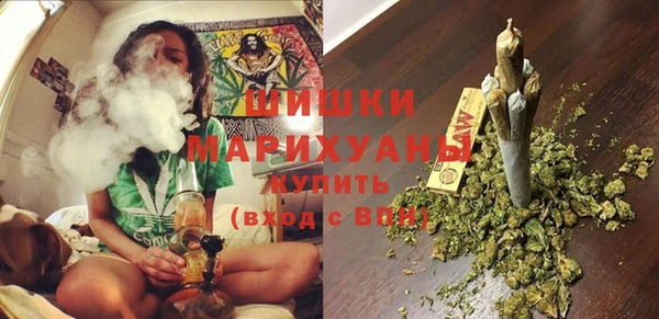 тгк Лагань
