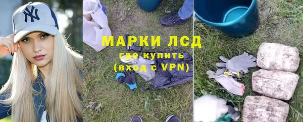 ГАЛЛЮЦИНОГЕННЫЕ ГРИБЫ Кукмор