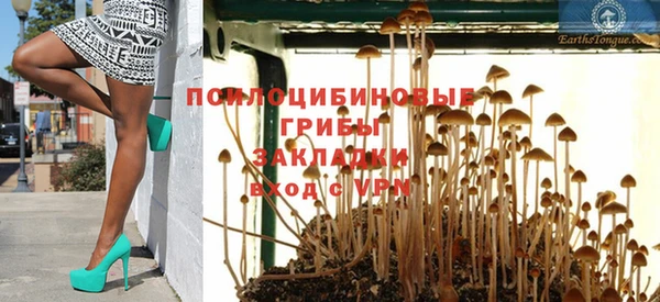 тгк Лагань
