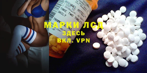 молекула духа Ладушкин