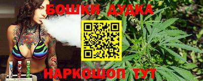мдпв Камышлов