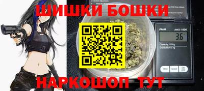 мдпв Камышлов
