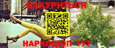 мдпв Камышлов