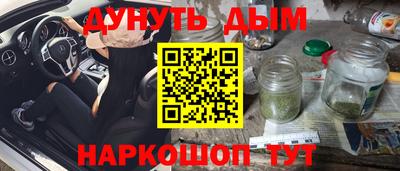 мдпв Камышлов