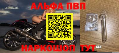 мдпв Камышлов