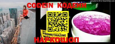 мдпв Камышлов