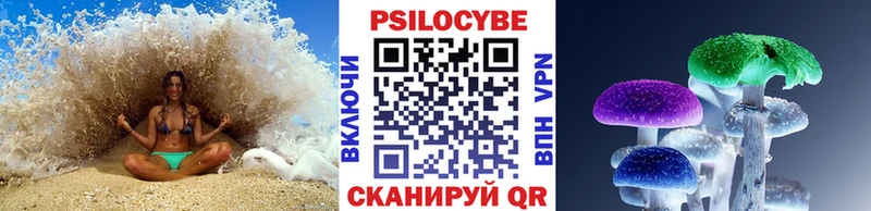 OMG ONION  Мелеуз  Галлюциногенные грибы Cubensis 