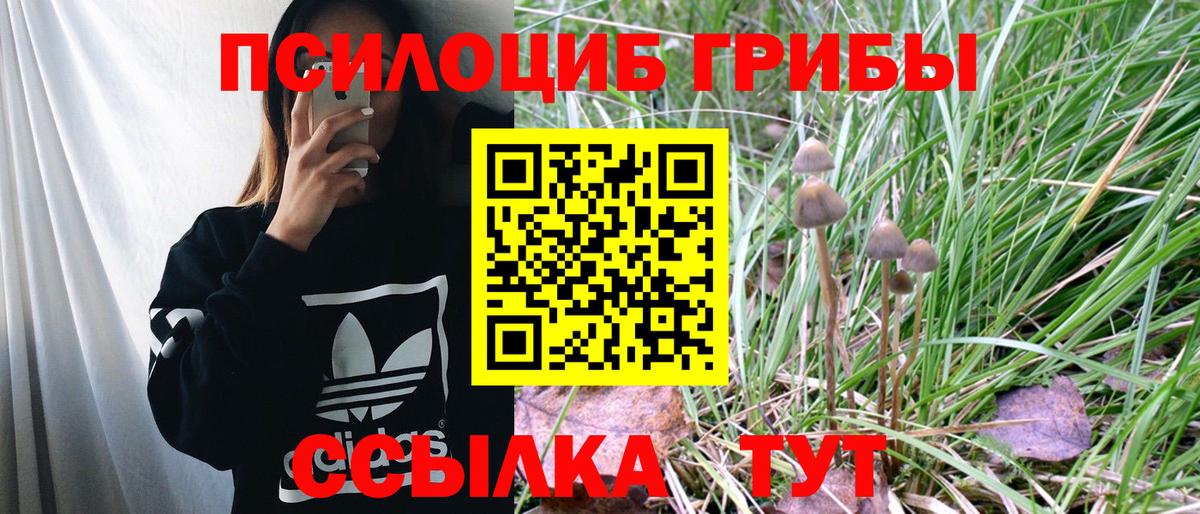 Мелеуз  Псилоцибиновые грибы Psilocybe  Вход с VPN 
